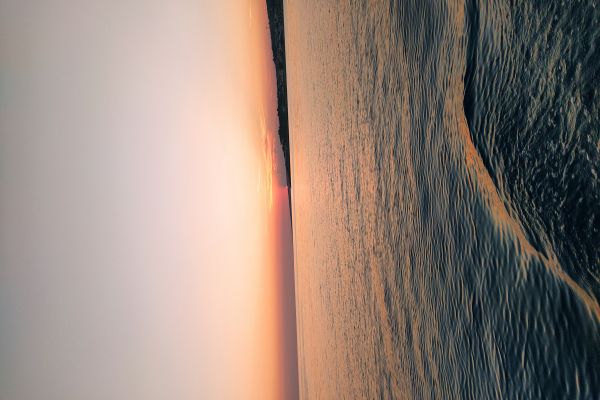 D8d34724 F7e6 406e 9236 30f8a219486a